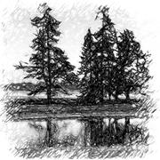 Sacred Wonderland logo Charcoal drawing of trees by a lake showing a reflection of the trees in the foreground.
