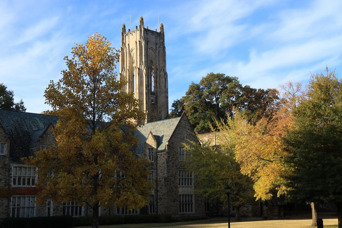 Rhodes College campus Large stone buildings with a tall stone tower in the background surrounded by trees with bright fall foliage.