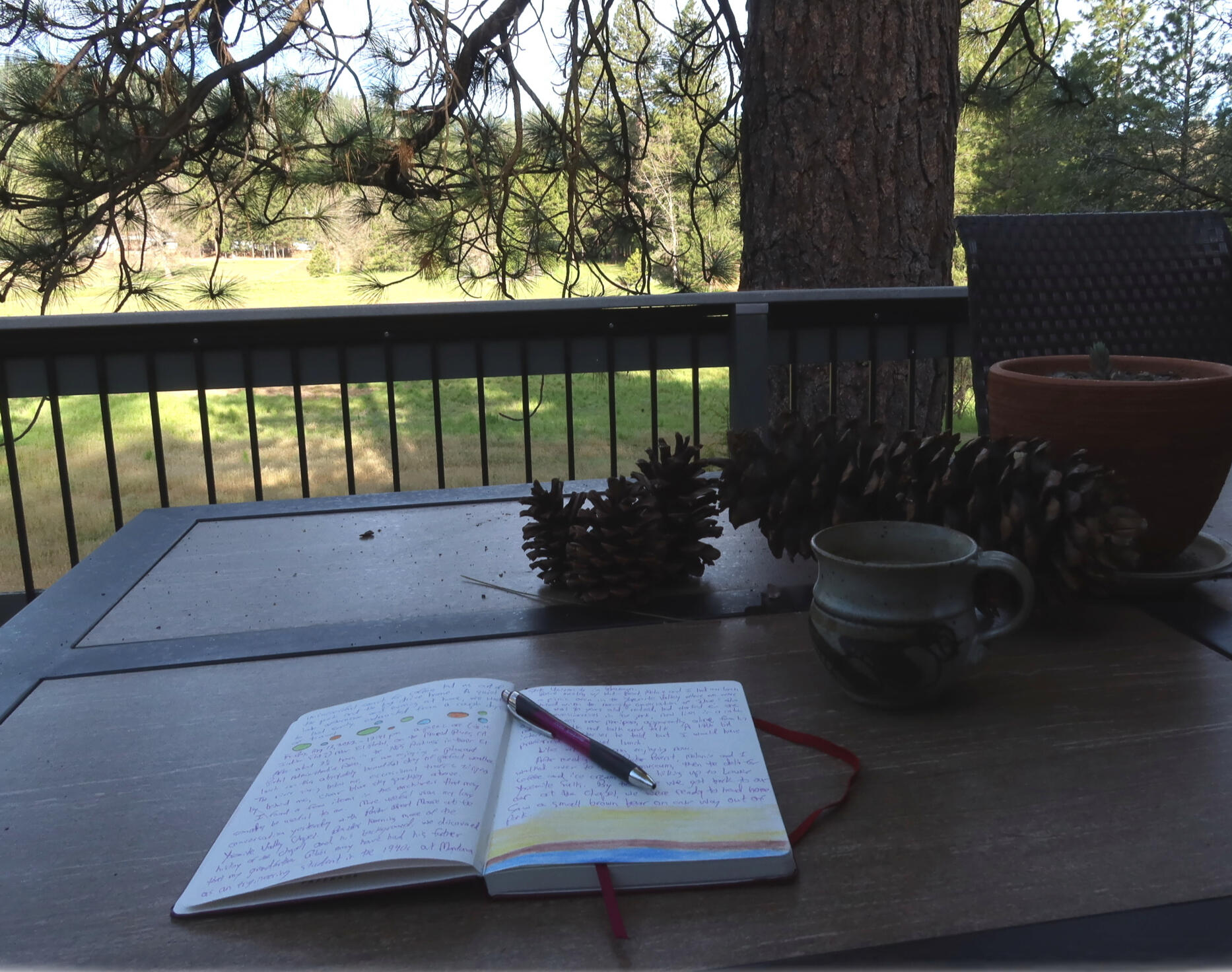 Mariposa Journal An open notebook, a pen, pinecones, a cup, and a potted plant sit on a wooden table on a deck overlooking a grassy yard with trees in the background.